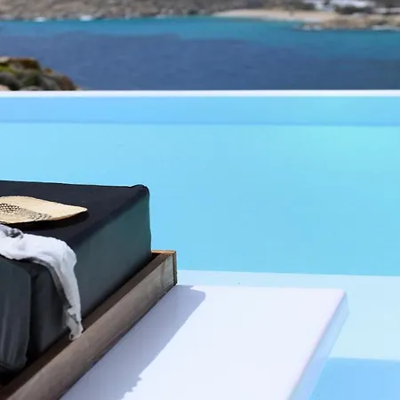 Chrysta